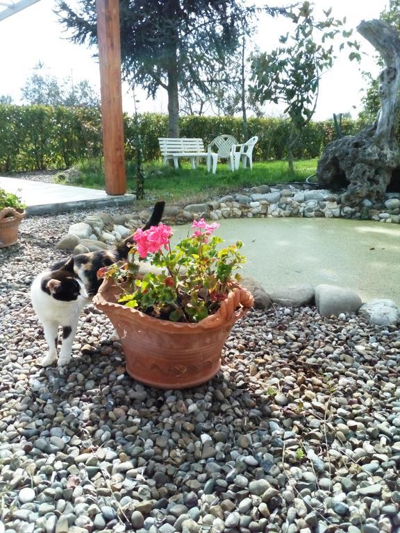 Dimora Antonianna In Valle D'Itria Locorotondo Kültér fotó