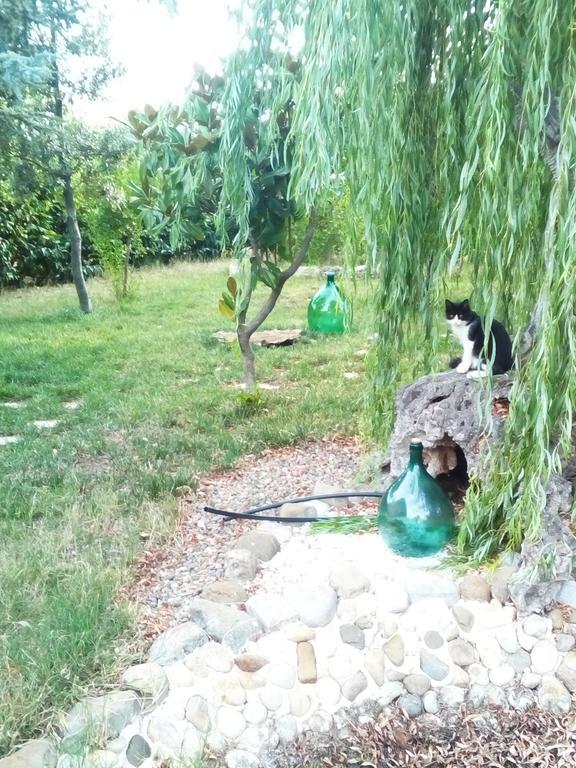 Dimora Antonianna In Valle D'Itria Locorotondo Kültér fotó